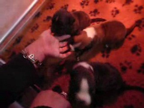 Eole, Ewane & Espionne - boxers, 3 semaines - n°3