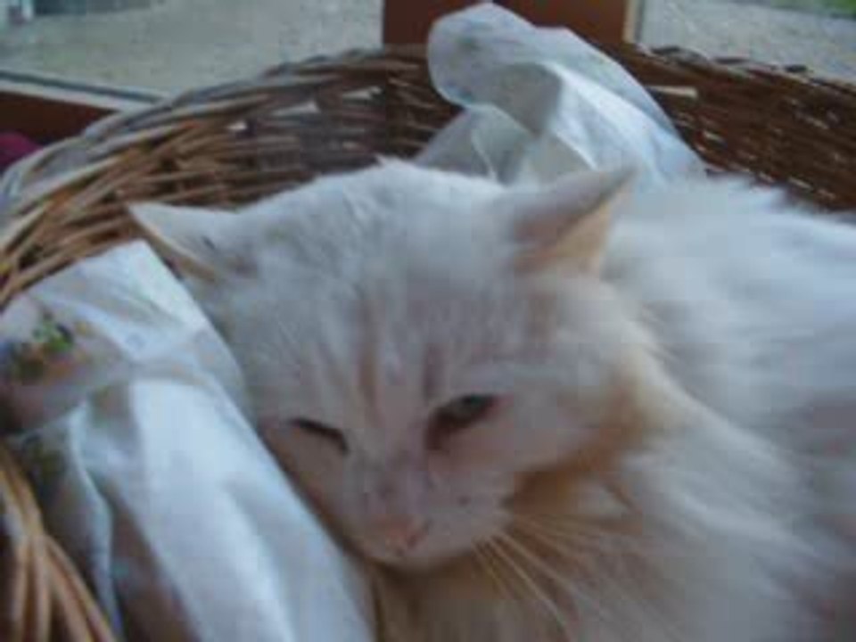 Plume, le 16 février 2008