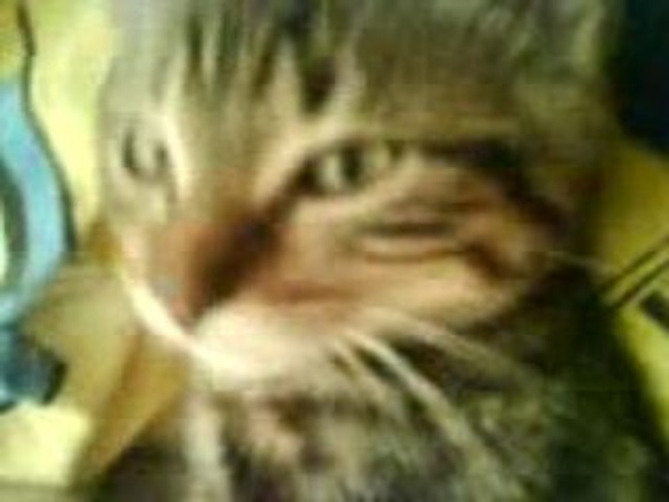 symba 3