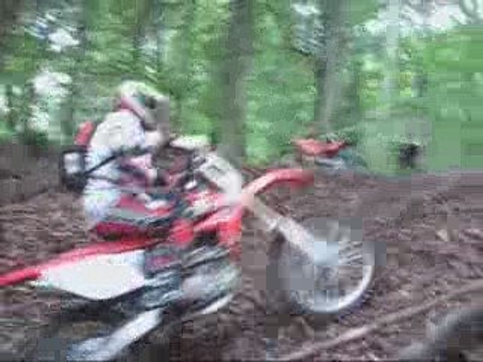 Sanglier 1 Sortie 19 07 2009