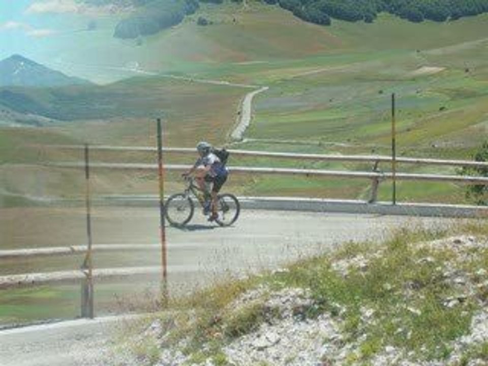Vettore 2009