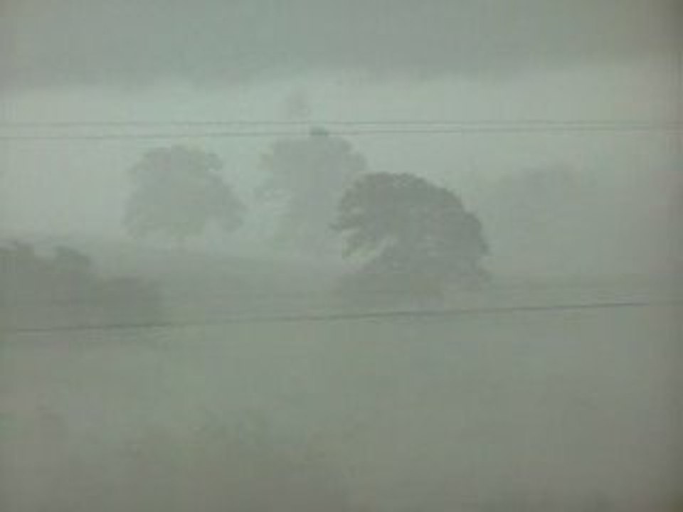 fog line