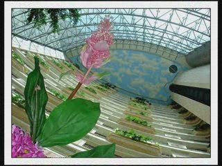 Forever and Ever Lebanon