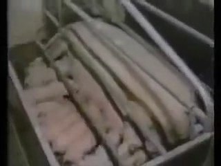 Earthlings - 03 Alimento 2/4