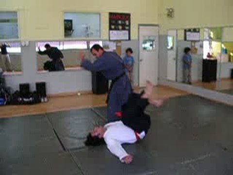 Hapkido Moon Pa Kwan