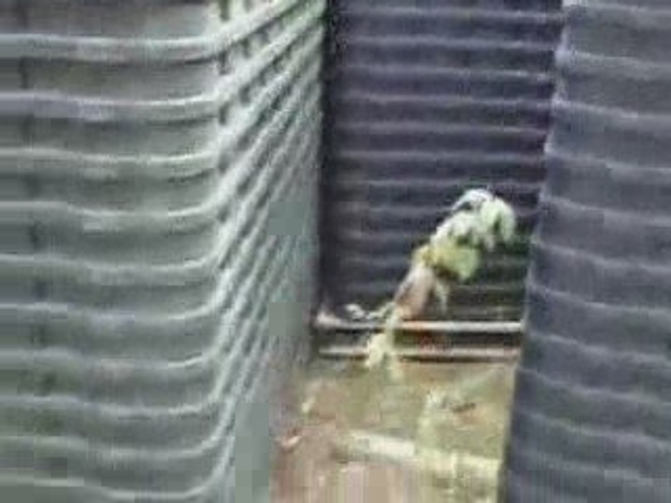 Half a Million Plastic Coffins