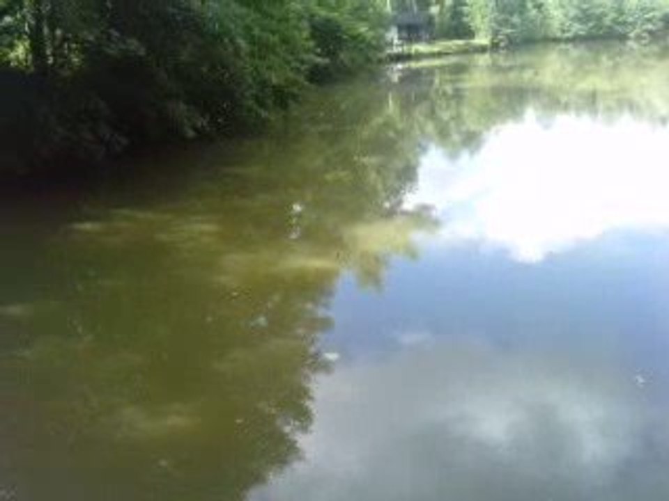 V130709_10.190001