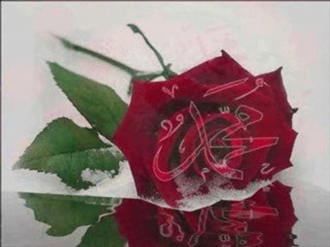 Dursun Ali Erzincanlı-Gönlümün Gülü