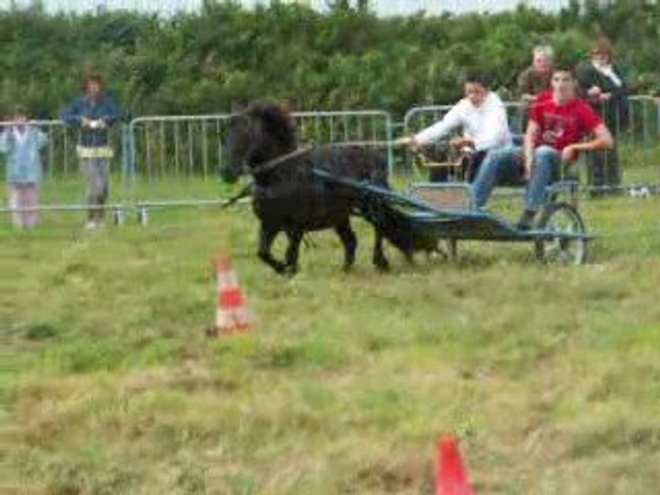 fête du cheval landunvez