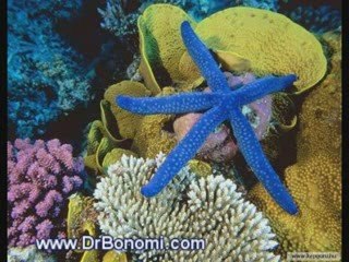 52 El Secreto - The Secret de Rhonda Byrne