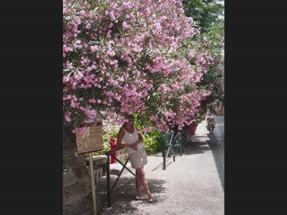 montage cap d'agde 27juillet