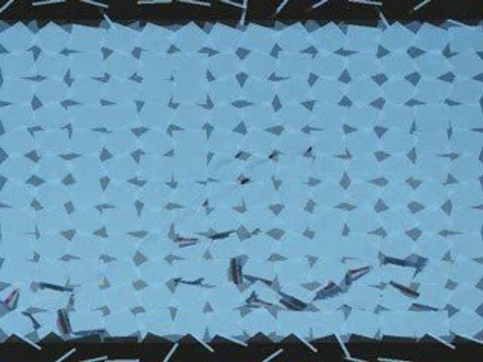 Patrouille de france à Blériot Plage