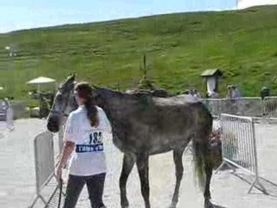 Moi et Naouti trotting final Alpe d'Huez 2009