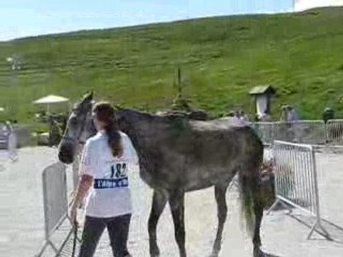 Moi et Naouti trotting final Alpe d'Huez 2009