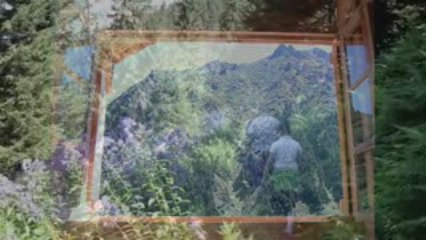 hemşin yaylaları-nilüfer gülas