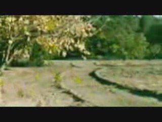 Omar Akram - Dancing with the Wind