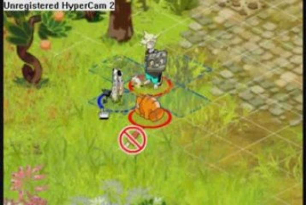 Dofus Film Uni Par L'armour