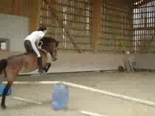 Saut à cru avec Magique ♥ =)