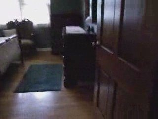 8302 Greenfield Shores