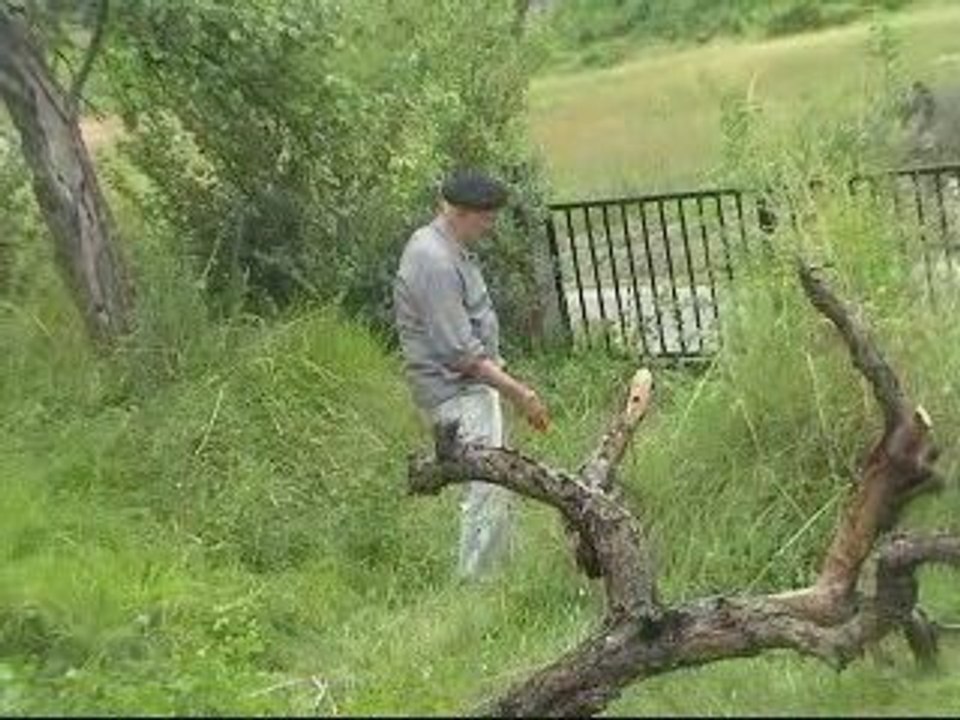 M4Vl'arbre mort
