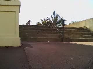 Monkeys crew - Theo marches st jean