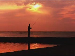 carpe en bord de mer ....... combat  fish  spot