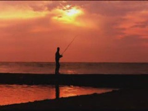 carpe en bord de mer ....... combat fish spot