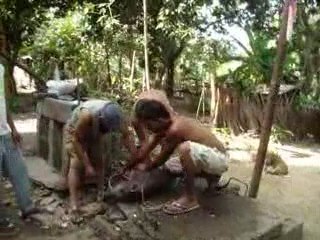 mise a mort  petit cochon  a  BARACOA  (cuba )