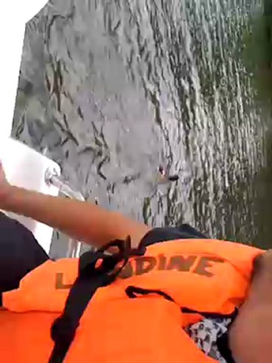 Quand Black Chocolate s'attaque aux canards....