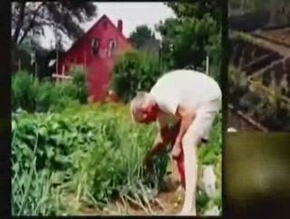 Organic Gardening Composting Tips