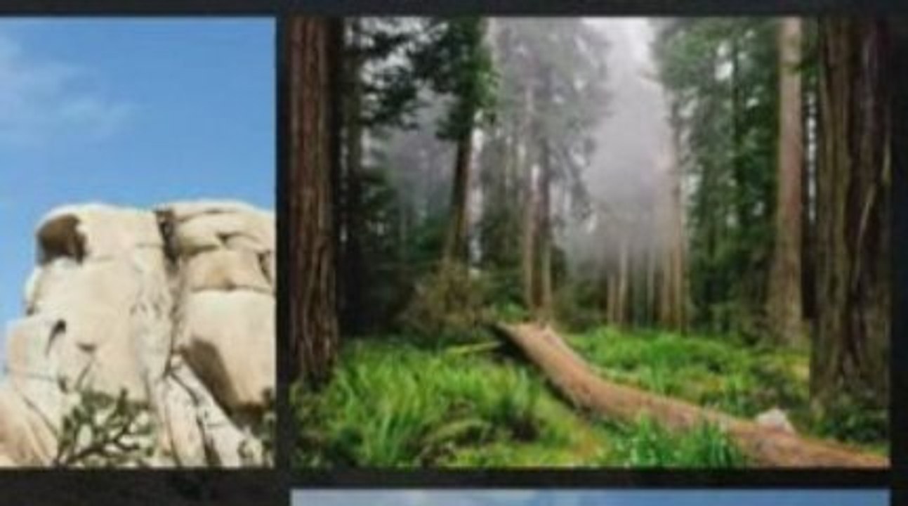 California - a famous family holiday destination.