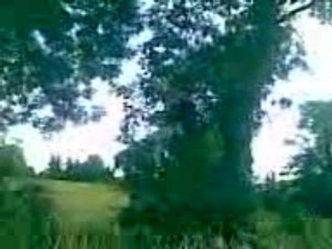 djé 1 er essai de la tyrolienne avec bloqueur!!!