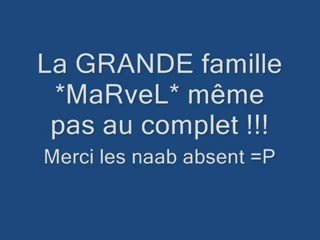 Rassemblement MaRveL du 30 juin 2009