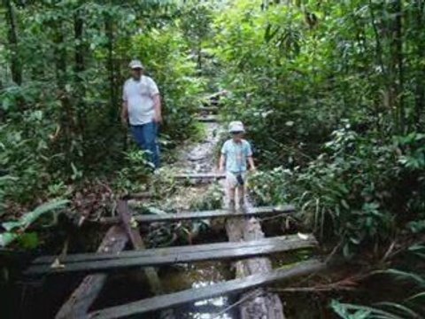 thomas l'aventurier de la foret guyanaise