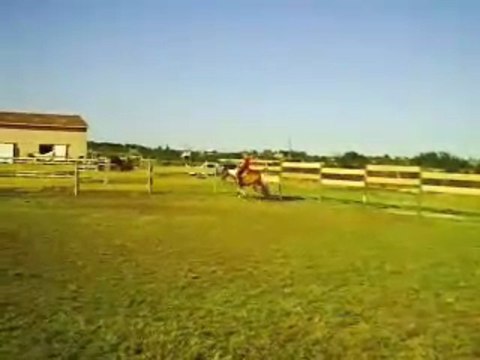 séance à cheval le 20 juillet 2009