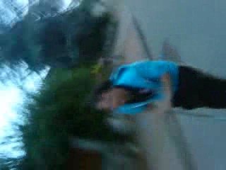 Gamelle ecureil xP