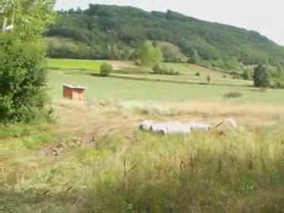 Niksar Sorhun Köyü Kaynak Suyu