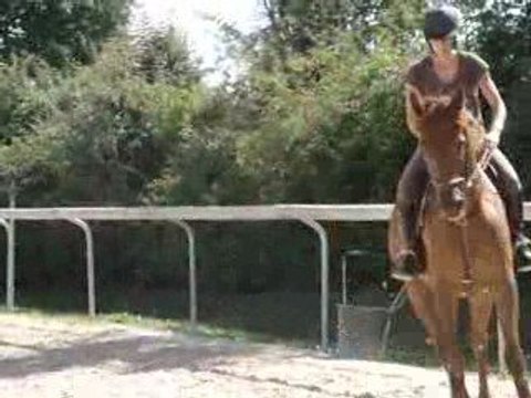 aprem au centre équestre les écuries de briounas