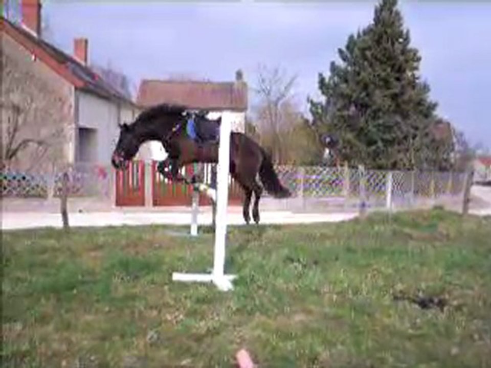 Nikita