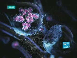 Santé: L'amour, un processus chimique ?