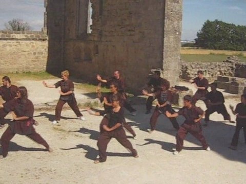 Võ Vietnam - Ecole Võ Son Long - Thao du Coq d'or