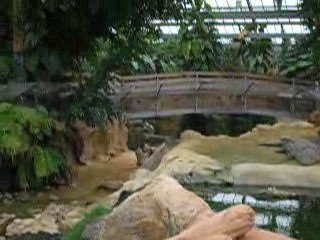 La Ferme aux crocodiles