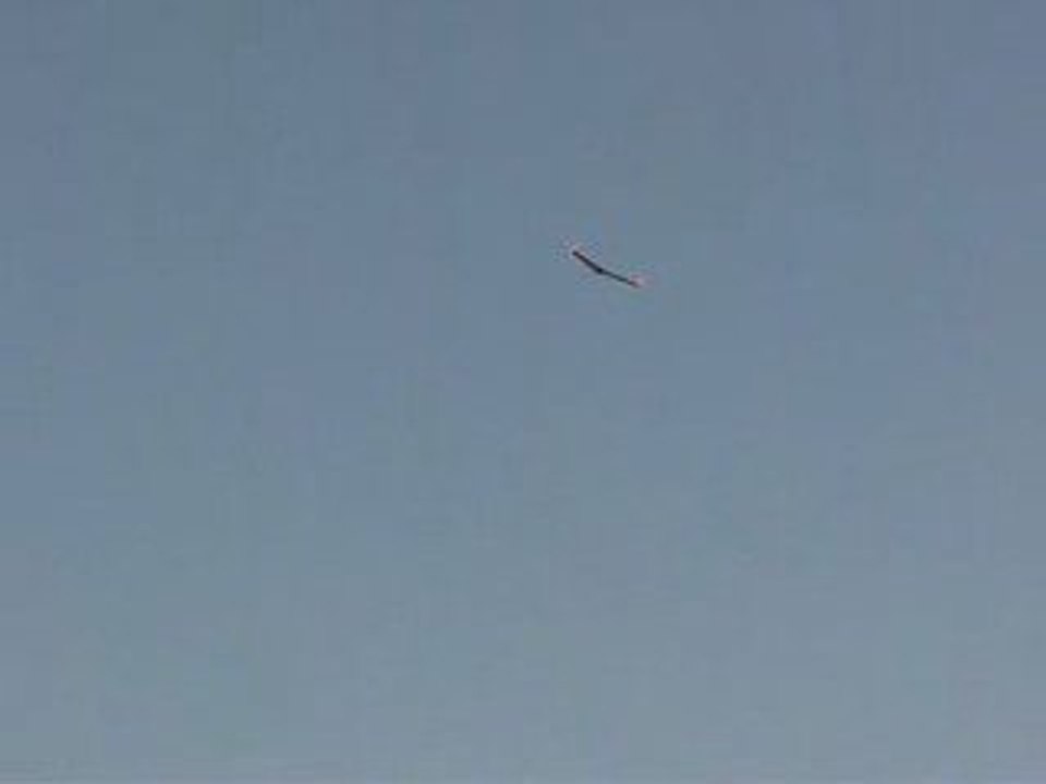 aile volante à Arta Plage - Djibouti