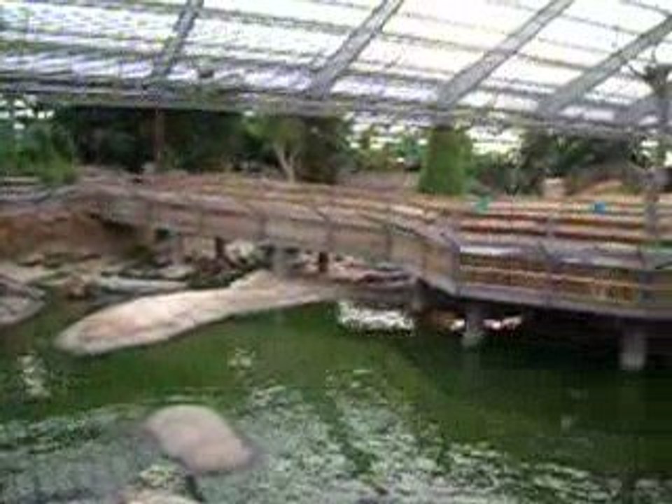 La Ferme aux crocodiles