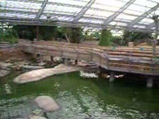 La Ferme aux crocodiles