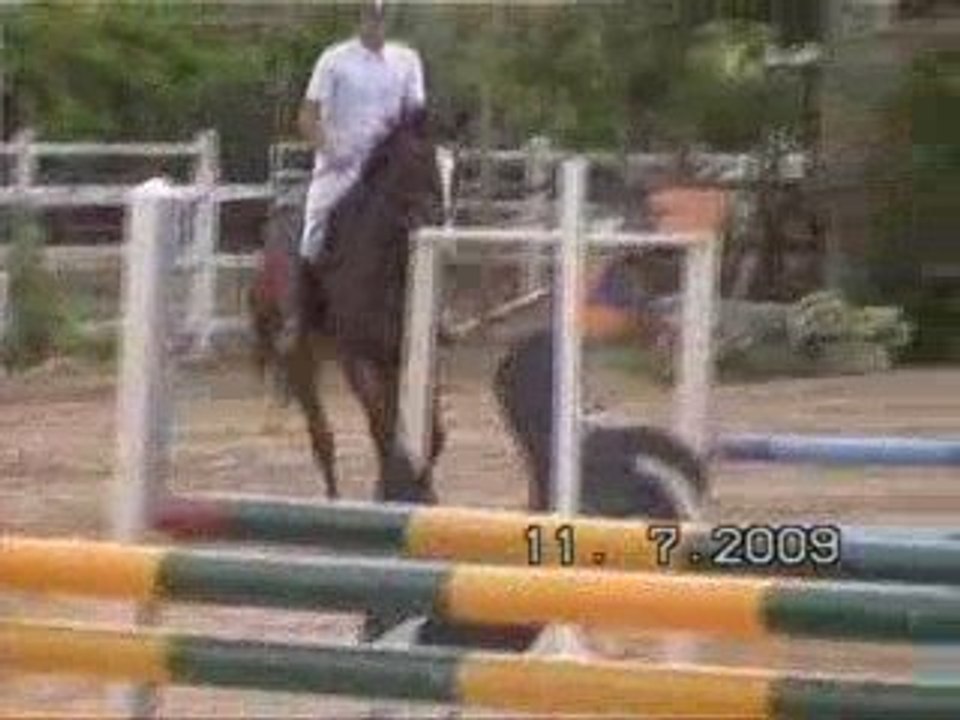 QUAMIRO de Damiro B avec Yoann - Concours CSO à Bouafles