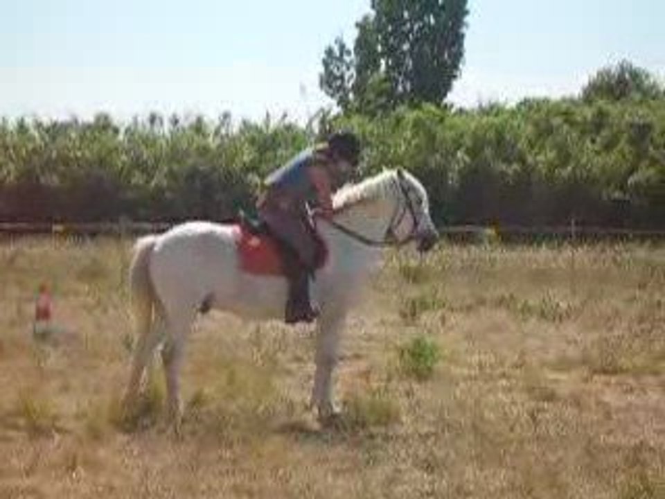 Lou