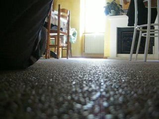 crash skate street ware²