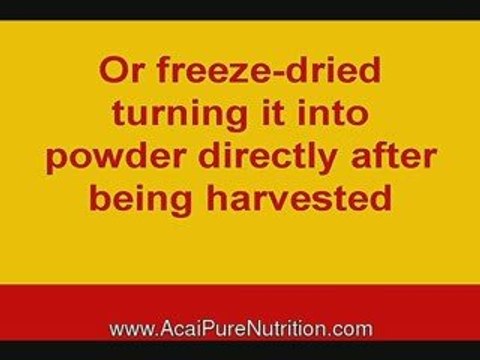 antioxidant acai, what does acai look like, acai amazon