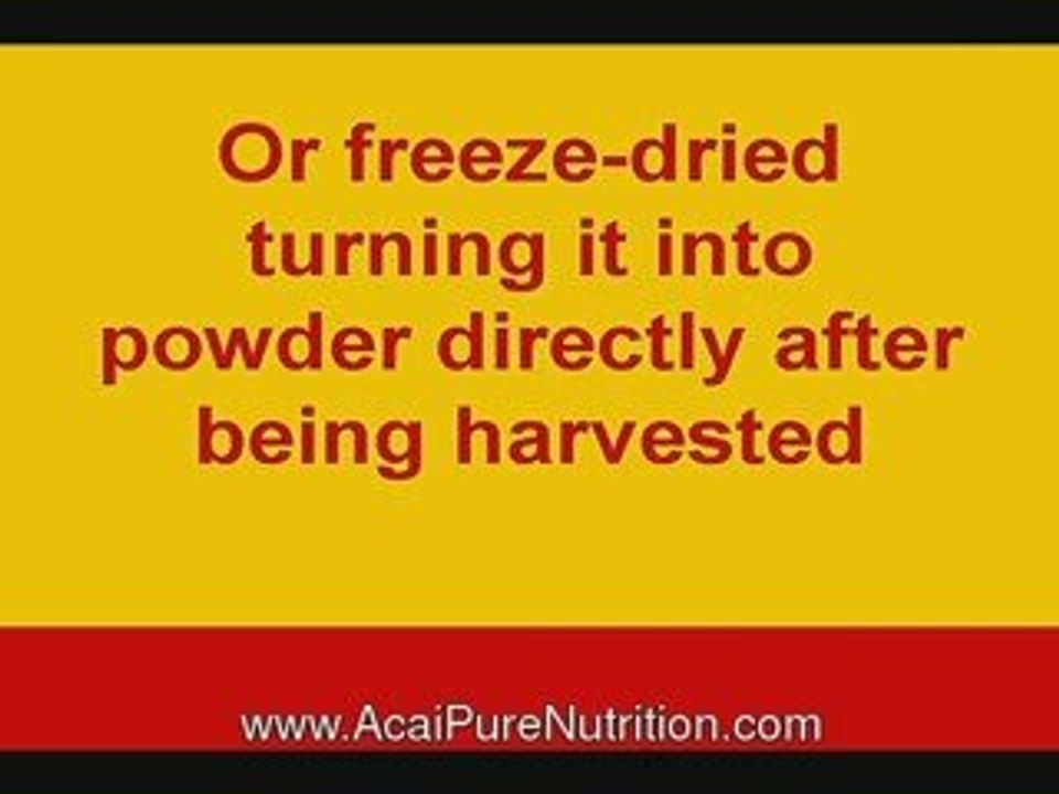 antioxidant acai, what does acai look like, acai amazon